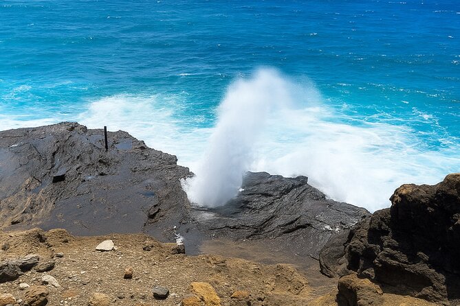 Private Circle Island Tour North Shore and East Side - A relaxed private day across Oahu’s North Shore and East Side