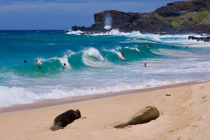 Private Circle Island Tour-Oahu-Customizable - The morning start: Waikiki, Kalakaua Avenue, and the fast way to get oriented