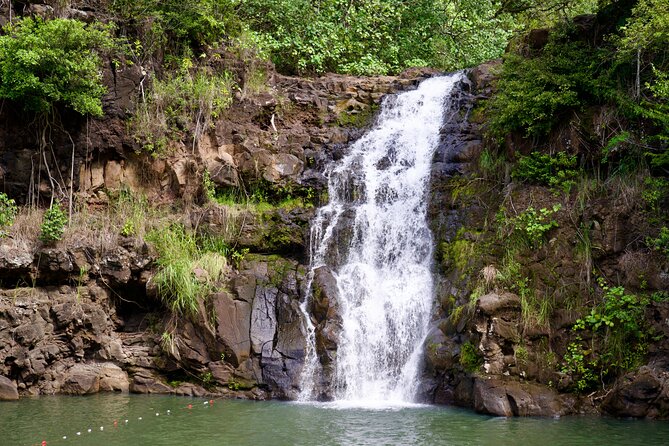 Private Circle Island Tour-Oahu-Customizable - North Shore highlights: Hale‘iwa Beach Park, food trucks, and surf vibes