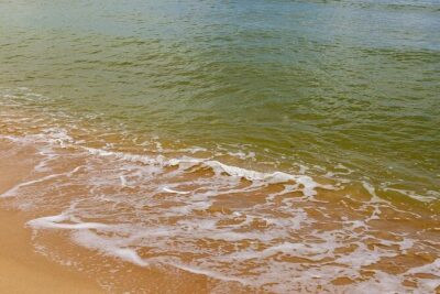 Private Customizable Grand Circle Island Tour on Oahu - Hotel pickup, bottled water, and the comfort factor on Oahu