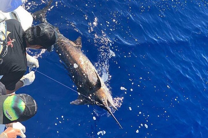 Private Deep Sea Full-Day Fishing Charter in Hawaiian Waters - How the day usually unfolds offshore (and what to watch for)