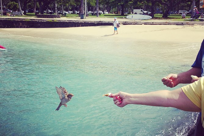 Private Dole,Garlic Shrimp,Haleiwa,North Shore Customizable tour - Price and value for $462.60 per group up to 6