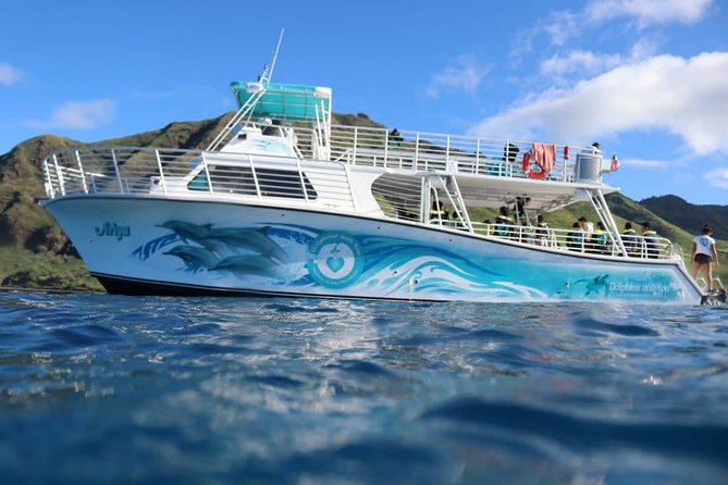 Private Dolphin Swim with Slide for up to 15 Passengers - The real appeal of a private dolphin swim plus slide