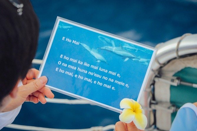 Private Dolphin Swim with Slide for up to 15 Passengers - Food and refreshments: more than water, usually bento-style