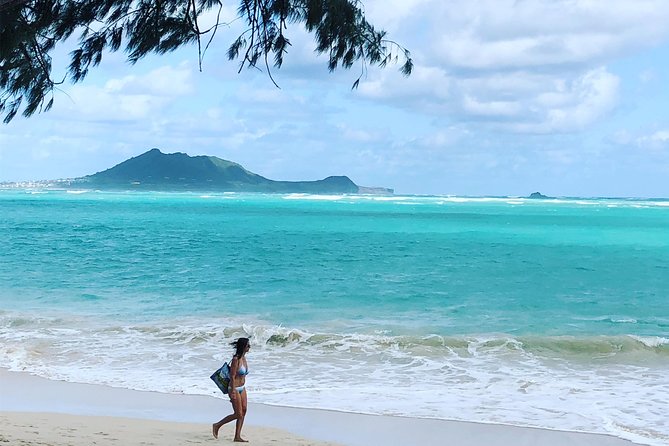 Private Fond Farewell Oahu Last Day Tour - Price and Logistics: What $385 Buys You on Oahu