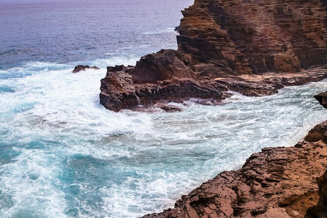 Private Half-Day Circle Island Highlights Tour in Oahu - Price and Logistics: What $649.99 per Group Really Buys