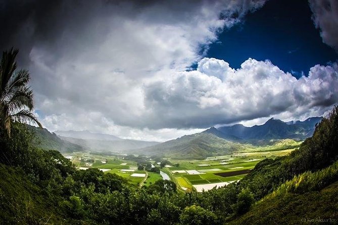 Private luxury tour of Oahu island - The North Shore drive: what to expect from the pace