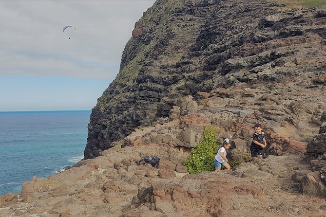 Private Oahu Circle Island Tour - Oahu’s North Shore: Surf Breaks, Seasonal Ocean Energy, and Photo Stops