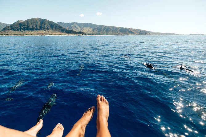 Private Oahu Sunset Charter with Tasting and Drinks - Who This Charter Is Best For