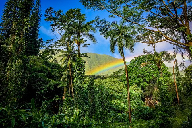 Private Oahu Van Tour - Why this feels different from a standard Oahu day tour