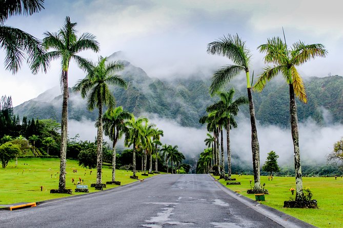Private Oahu Van Tour - Ehukai Beach Park: seeing Pipeline without needing a surfboard