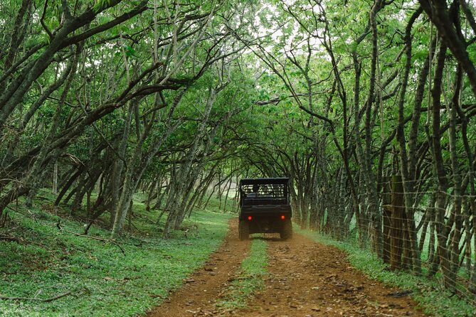 Private Off Road Explorer's Tour - Getting there in Laie: simple start, easy end