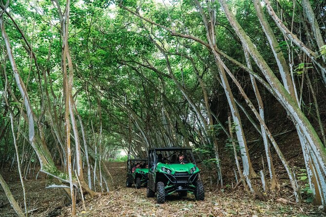 Private Off Road Explorer's Tour - Getting close: lookout moments, cave exploration, and ranch history
