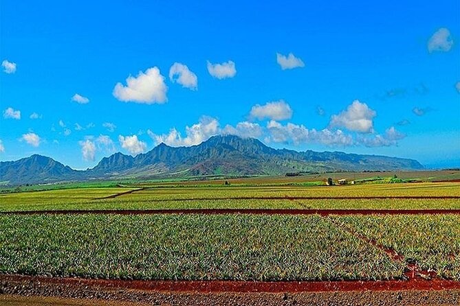 Private Pearl Harbor and Mini Circle Island Tour from Waikiki - Key highlights to watch for