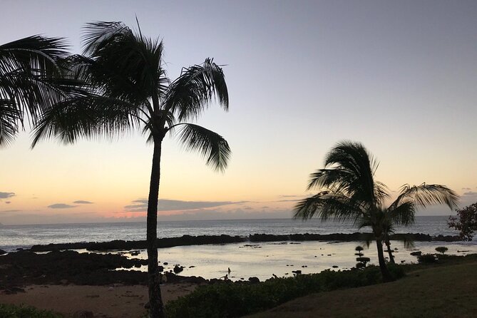 Private Pearl Harbor & North Shore tour (Se habla Español) - Using Your Time Well at Arizona: Short Lines and Backup Options