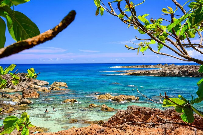 PRIVATE Premium Circle Island Tour (12 Stops) - Tropical Farms macadamia stop: snacks, souvenirs, and what Hawaii tastes like