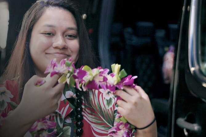 Private Round-Trip Transfer: Honolulu International Airport to Hotel or Cruise Terminal - The 24/7 Advantage on Oahu