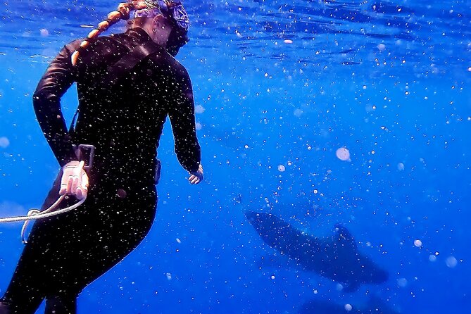 Private Sea’fari Expedition • 8 Guests Included (Expandable) - The 3-hour plan: how the timing stays fun (not rushed)
