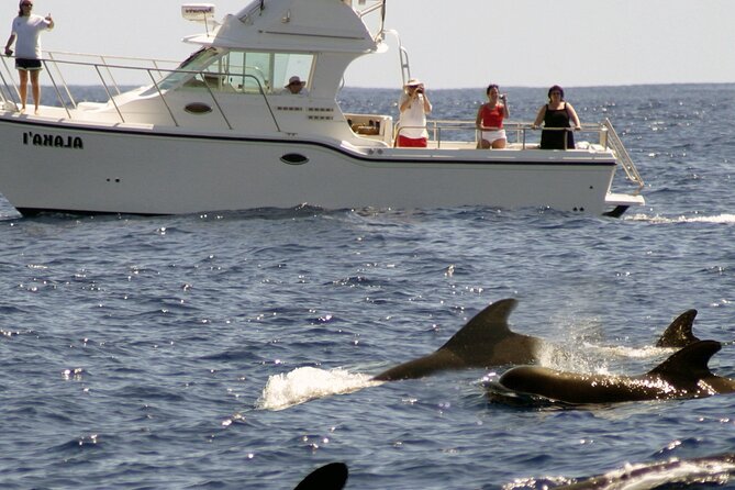 Private Sea’fari Expedition • 8 Guests Included (Expandable) - Snorkeling and reef time: gear included, focus on comfort