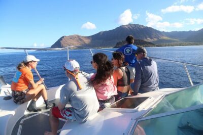 Private Sea’fari Expedition • 8 Guests Included (Expandable) - Wildlife you can hope for (and why the crew’s search style matters)