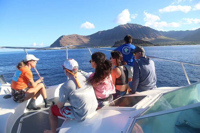Private Sea’fari Expedition • 8 Guests Included (Expandable) - Wildlife you can hope for (and why the crew’s search style matters)
