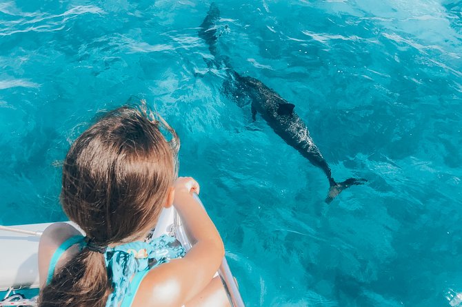 Private Snorkel Trip from Oahu on a Yacht - Who This Charter Fits Best (And Who Might Prefer Something Else)