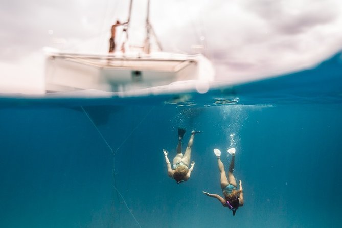 Private Snorkel Trip from Oahu on a Yacht - Practical Tips Before You Go (So It Feels Effortless)