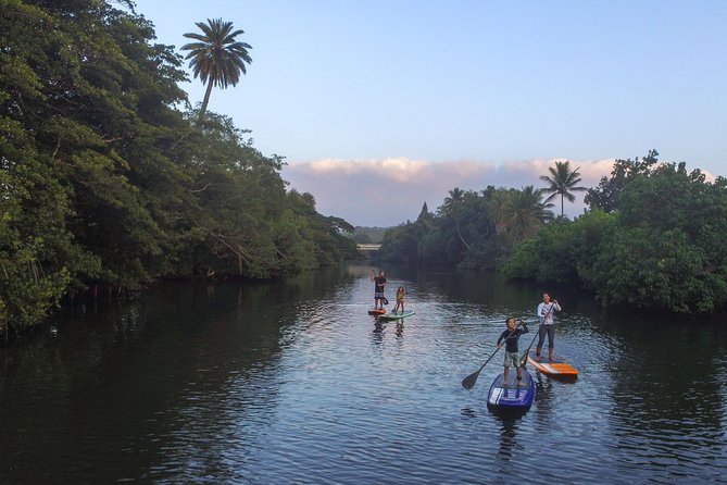 Private Stand up Paddle Lesson and Tour (for 1 or more paddlers) - Why this private SUP lesson works on Oahu’s North Shore