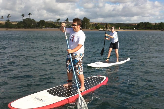 Private Stand up Paddle Lesson and Tour (for 1 or more paddlers) - Turtle country: what to expect, what not to count on