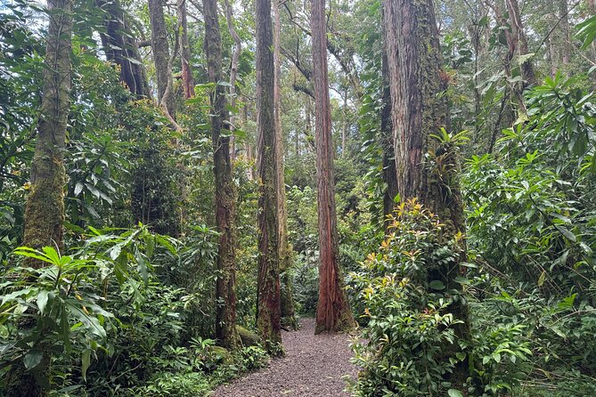 PRIVATE TOUR-Hike Diamond Head & Hawaiian Waterfall - The beach plate breakfast: the value you’ll feel before you even finish