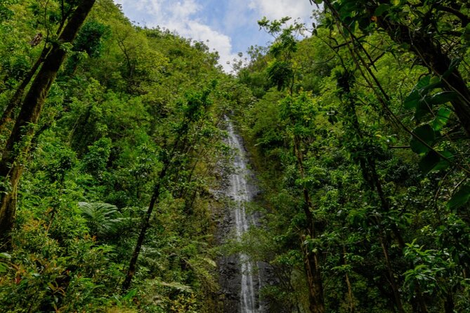 PRIVATE TOUR-Hike Diamond Head & Hawaiian Waterfall - What’s included in the price, and what you’ll plan to pay for