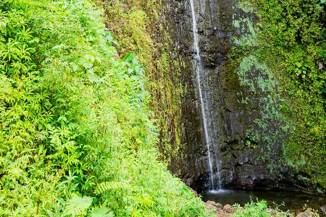 PRIVATE TOUR-Hike Diamond Head & Hawaiian Waterfall - Pacing, private-group comfort, and who this tour fits best