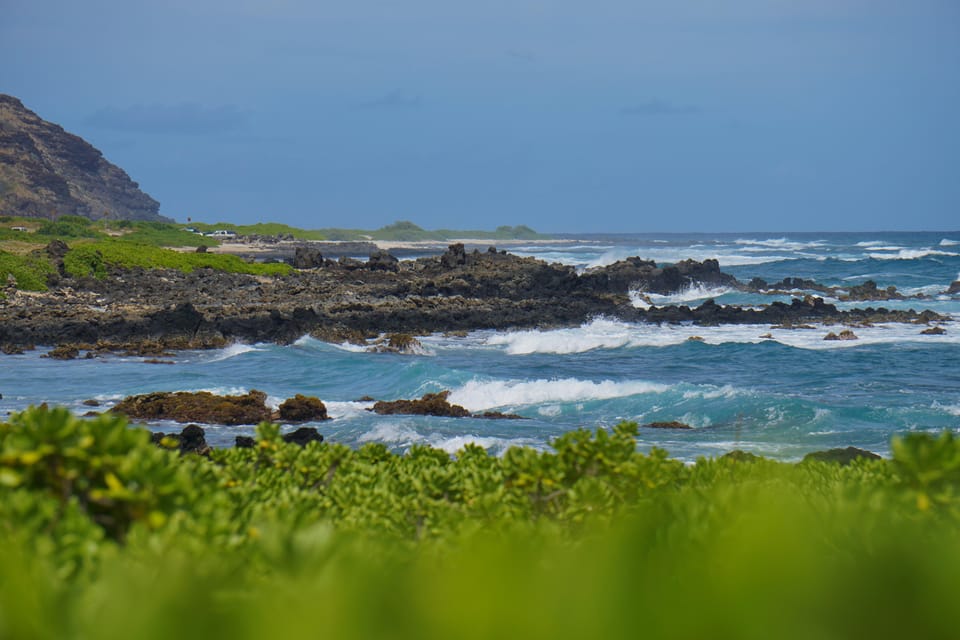 Private Tour Oahu-Circle Island-Customizable - Key things you’ll notice on this Oahu private day