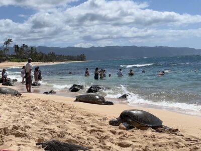 Private Tour Oahu-Circle Island-Customizable - Diamond Head and Hanauma Bay: the iconic start that sets the tone