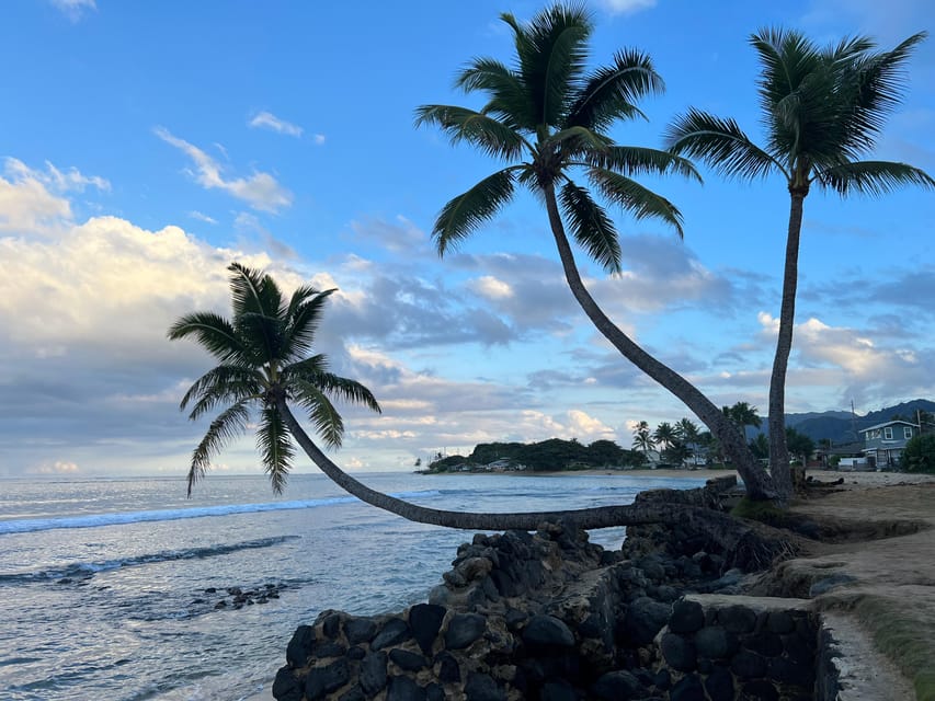 Private Tour Oahu-Circle Island-Customizable - Makapuʻu Lookout: the panoramic break before the coast turns quieter