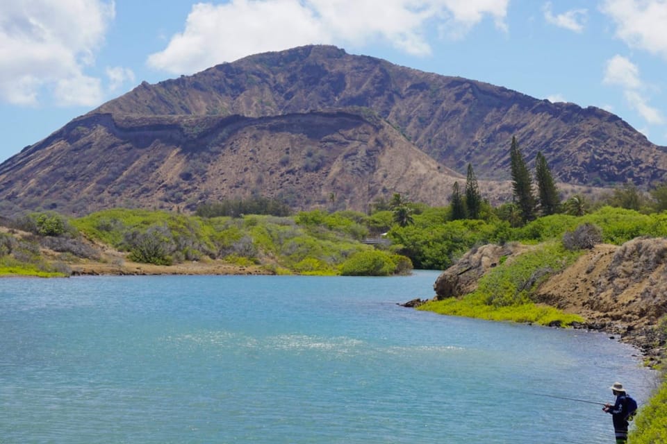 Private Tour Oahu-Circle Island-Customizable - Haleʻiwa Beach Park, Turtle Beach, and North Shore lunch: the day’s most local-feeling block