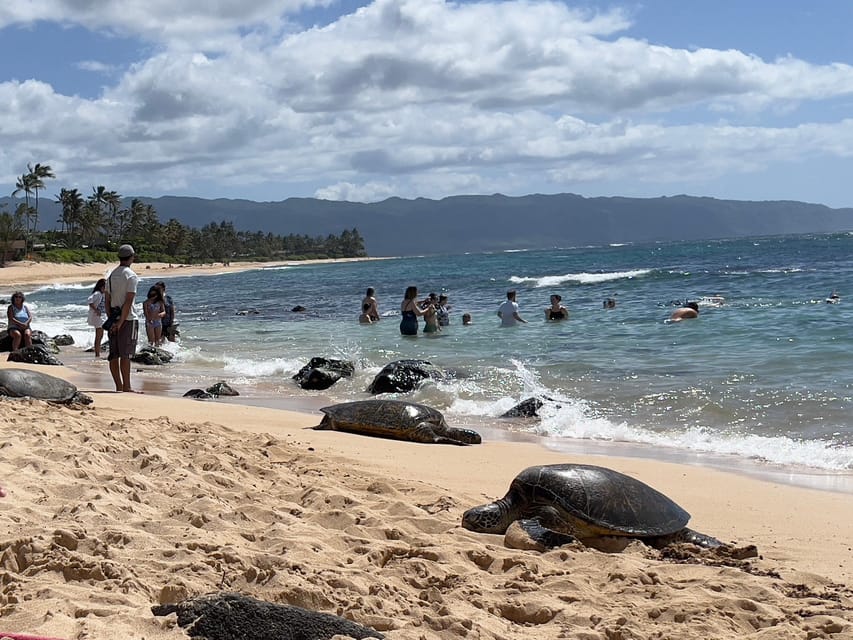Private Tour Oahu-Circle Island-Customizable - Diamond Head and Hanauma Bay: the iconic start that sets the tone