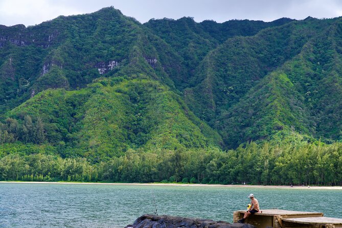 Private Tour Oahu including Waimea Waterfall-Customizable - Waikiki to Haleiwa: setting the tone for the North Shore