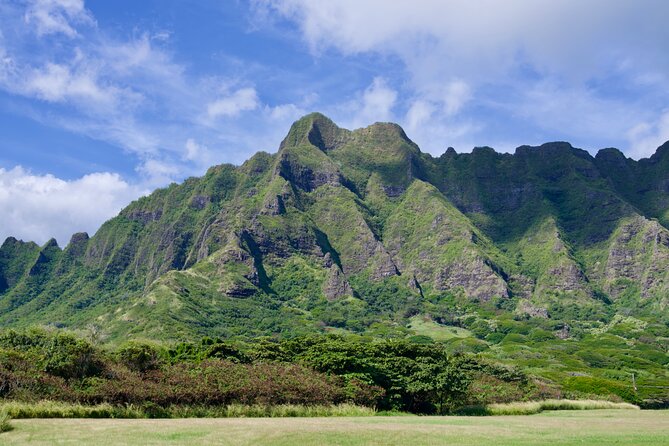 Private Tour Oahu including Waimea Waterfall-Customizable - Waimea Valley and waterfall time: the main event