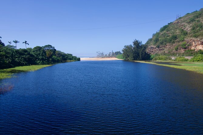 Private Tour Oahu including Waimea Waterfall-Customizable - North Shore food truck stop and flexible additions