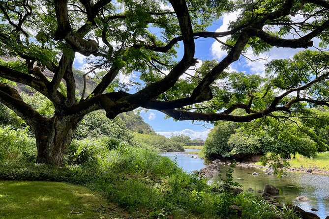 Private Tour Oahu including Waimea Waterfall-Customizable - The $200 value: what you’re paying for (and what you’re not)