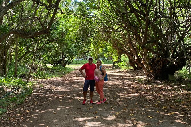 PRIVATE TOUR-Ultimate North Shore Experience - Green World Coffee Farms: A Relaxing Start That Sets the Tone