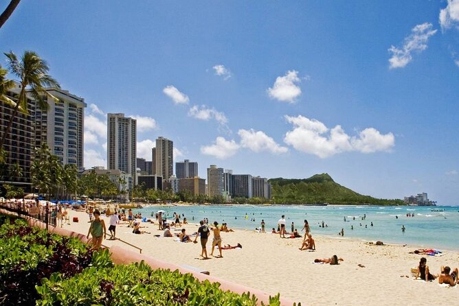 Private Transfer: Honolulu Airport HNL to Honolulu in Sedan Car - Key Details That Matter Most for This HNL Transfer