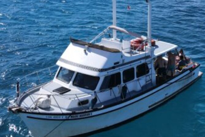 Private Turtle Canyon Snorkel Tour - Up to 6 Passengers - The Waikiki water time: snorkel, turtles, and wildlife spotting