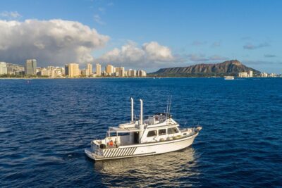 Private Turtle Canyon Snorkel Tour - Up to 6 Passengers - Getting to Kewalo Basin Harbor (and why timing matters)