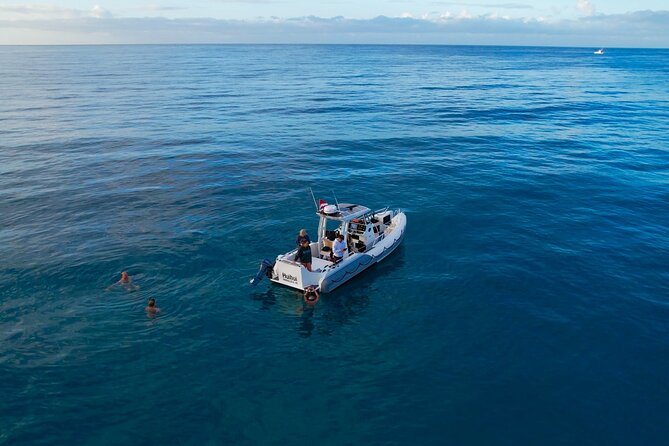 Private Turtle Snorkel & Cruise Waikiki - The human part: How Chris and Alex change the vibe