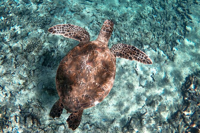 Private Waikiki Boat Charter – Create Your Own Ocean Experience - What’s Included (and What You’ll Want to Bring)