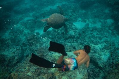 Private Waikiki Boat Charter – Create Your Own Ocean Experience - Waikiki and Honolulu Views from Your Power Catamaran