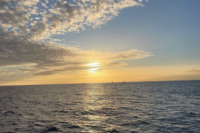 Private Waikiki Boat Charter – Create Your Own Ocean Experience - Who This Tour Fits Best (and When It Won’t)