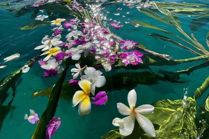 Private Waikiki Boat Charter – Create Your Own Ocean Experience - Should You Book This Private Waikiki Boat Charter?